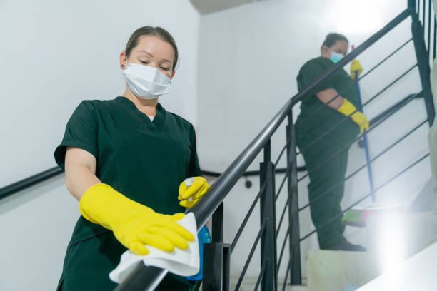 apartment cleaners auckland