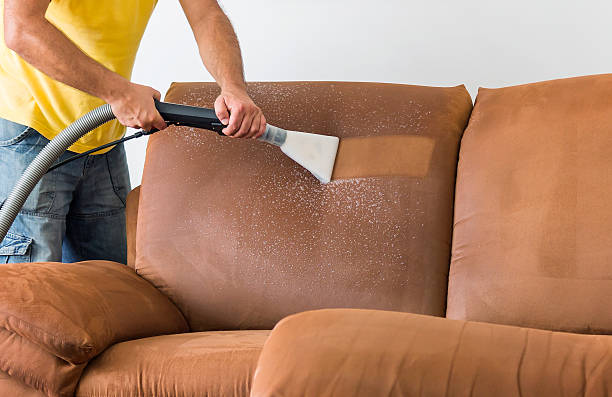 upholster auckland