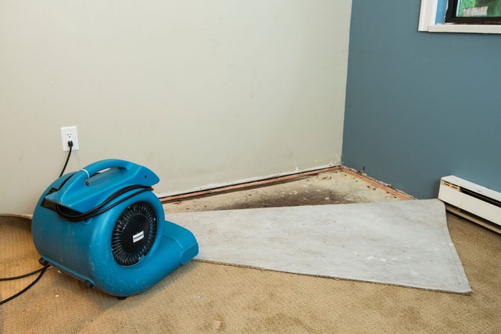 How To Find The Best Water Removal Services in Auckland